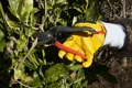 Comfort-fit Leather Gloves