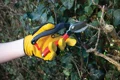 Comfort-fit Leather Gloves