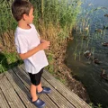 Cool-Kids Cloggies