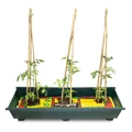 LARGE PLASTIC GROWBAG &TRAY GREEN(8)