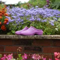 T&C Cloggies Raspberry