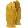Premium Leather