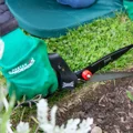 Master Gardener