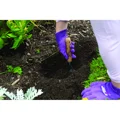 Master Gardener