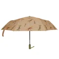 Pop up Umbrellas