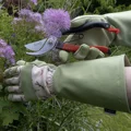Dragonfly Gauntlet
