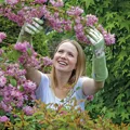 Dragonfly Gauntlet