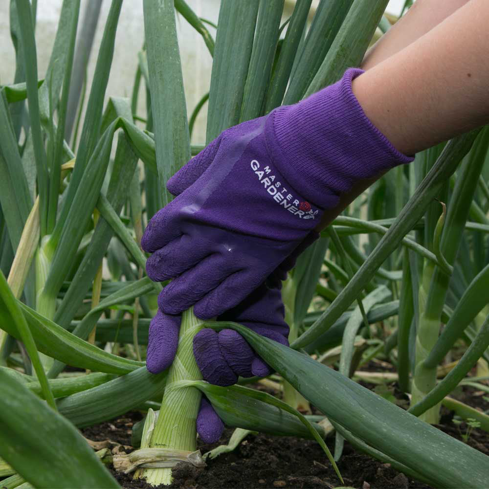 Garden Trends That Are Blooming This Summer – And the Gloves You’ll Need to Match