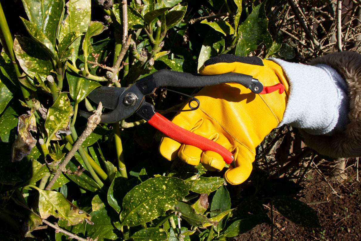 Comfort Fit Leather Gloves