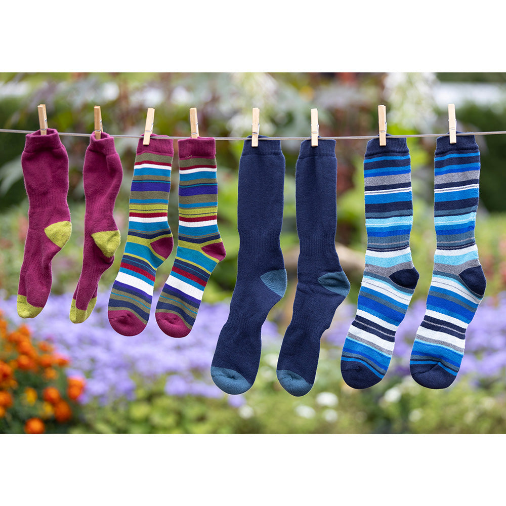 Go Walk Rambler Socks - Blue Twin Pack