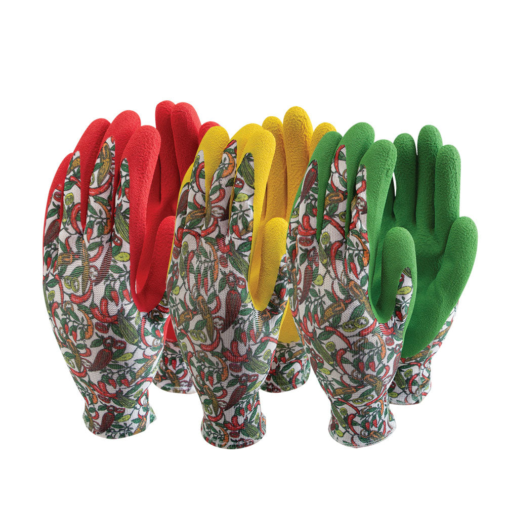 Latex Chilli Ladies - 3 Pack