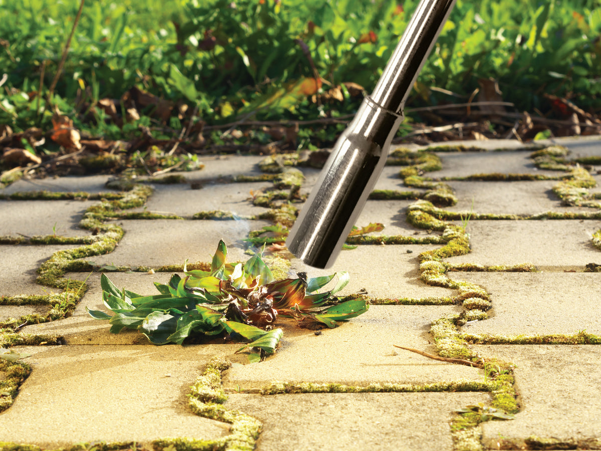 Weed Wand | Chemical-Free Weeder & BBQ Lighter