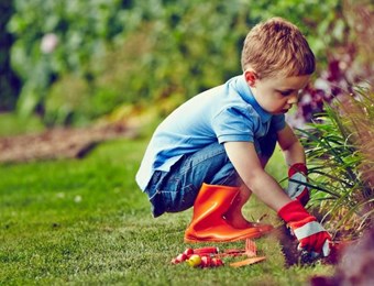 Getting Your Children Into Gardening