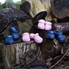 Kids Cloggies Blue And Pink On Logs