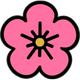 🌸