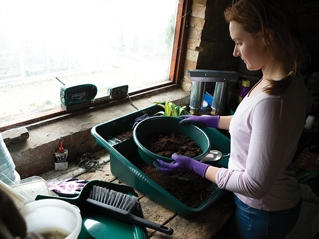 Potting Tray Seive Woman